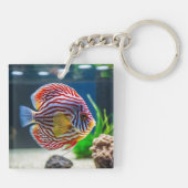Schattigee aquariumvistank sleutelhanger (Achterkant)