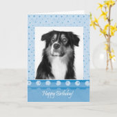 Schattigee Australian Shepherd Dog Happy Birthday  Kaart (Gele Bloem)