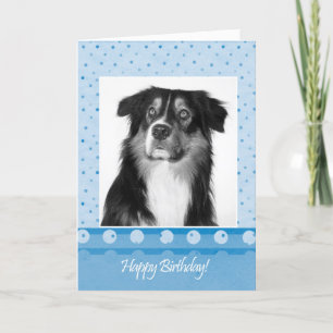 Schattigee Australian Shepherd Dog Happy Birthday  Kaart