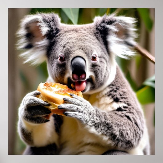 Schattigee Australische Koala Een Vleestaart Eten Poster (Voorkant)