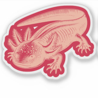 Schattigee Axolotl Nieuwe Design Vinyl Sticker