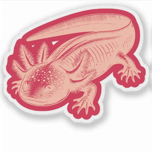 Schattigee Axolotl Nieuwe Design Vinyl Sticker (Voorkant)