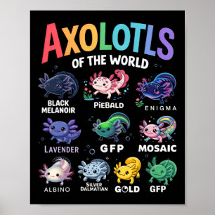 Schattigee Axolotls van de wereld Kawaii Axolotl S Poster