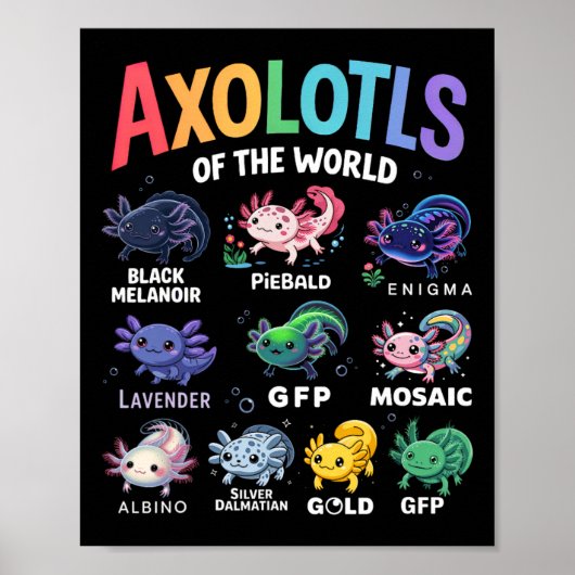 Schattigee Axolotls van de wereld Kawaii Axolotl S Poster (Voorkant)