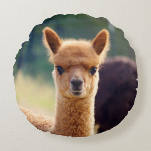 Schattigee Baby Alpaca ronde kussen