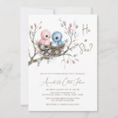 Schattigee Baby Birds Geslacht onthullen Partij Kaart (Voorkant)