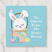 Schattigee Baby Blue Paashaas Gepersonaliseerd Par Bedankjes Labels (Voorkant)