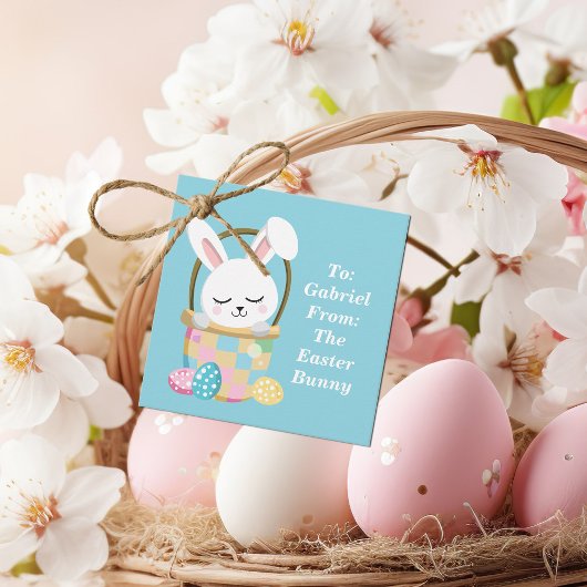 Schattigee Baby Blue Paashaas Gepersonaliseerd Par Bedankjes Labels