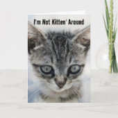 Schattigee Baby Cat Kitten Fun Pun Verjaardag Kaar Kaart (Voorkant)