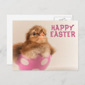 Schattigee Baby Chick in Easter Egg Feestdagenkaart (Voorkant / Achterkant)