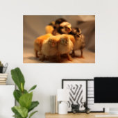 Schattigee Baby Chicks Poster (Thuiskantoor)