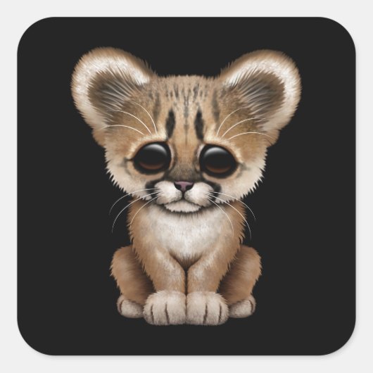 Schattigee Baby Cougar Cub op zwart Vierkante Sticker (Voorkant)
