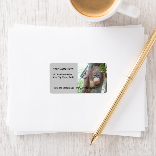 Schattigee Baby Dieren Orangutan Etiket (Insitu)