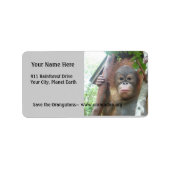 Schattigee Baby Dieren Orangutan Etiket (Voorkant)