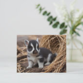 Schattigee Baby Dieren, Postcrossing Briefkaart (Staand voorkant)