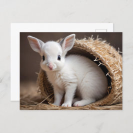 Schattigee Baby Dieren, Postcrossing Briefkaart
