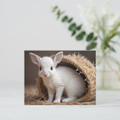 Schattigee Baby Dieren, Postcrossing Briefkaart (Staand voorkant)