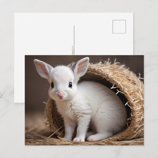 Schattigee Baby Dieren, Postcrossing Briefkaart (Voorkant / Achterkant)