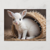 Schattigee Baby Dieren, Postcrossing Briefkaart (Voorkant)