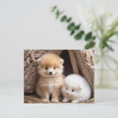 Schattigee Baby Dieren, Postcrossing Briefkaart (Staand voorkant)