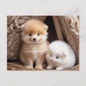 Schattigee Baby Dieren, Postcrossing Briefkaart (Voorkant)