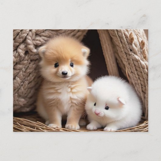 Schattigee Baby Dieren, Postcrossing Briefkaart (Voorkant)