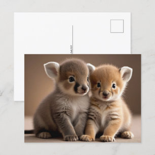 Schattigee Baby Dieren, Postcrossing Briefkaart