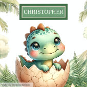 Schattigee Baby Dinosaurus Gepersonaliseerde Baby  Kussen