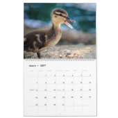 Schattigee Baby Ducks 2025 wandkalender Kalender (Mar 2027)