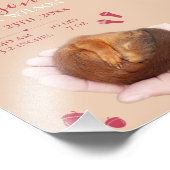 Schattigee baby eekhoorn aankondiging Baby meisje  Foto Afdruk (Hoek)