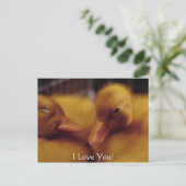 Schattigee baby-eenden feestdagenkaart (Staand voorkant)