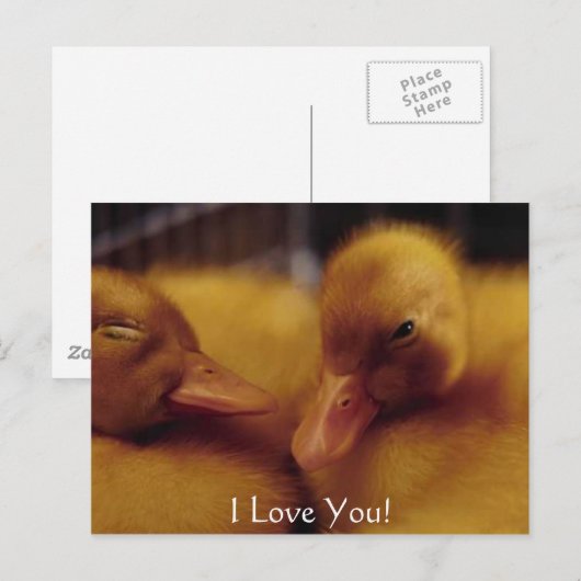 Schattigee baby-eenden feestdagenkaart (Voorkant / Achterkant)