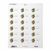 Schattigee baby-eikel etiket (Full Sheet)