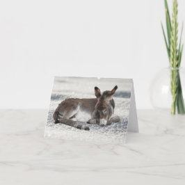 Schattigee Baby-ezel in de sneeuwkerst Kaart