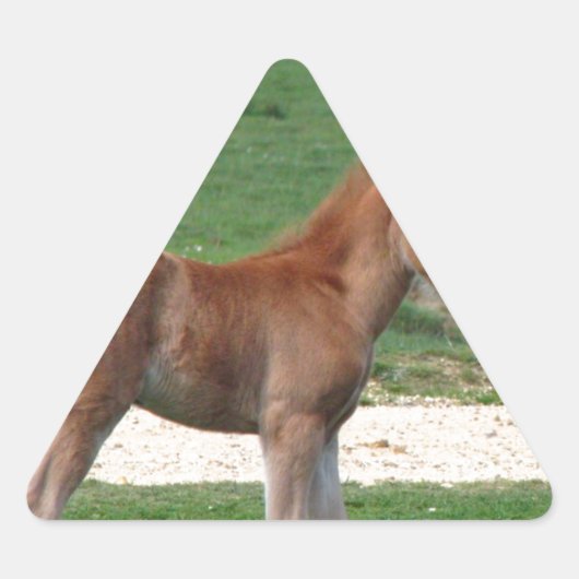 Schattigee Baby Foal Destiny Gifts Springtime Scha Sticker (Voorkant)