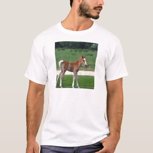 Schattigee Baby Foal Destiny Gifts Springtime Scha T-shirt (Voorkant)