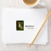 Schattigee Baby Fox in een Green Forest Adres Etiket (Insitu)