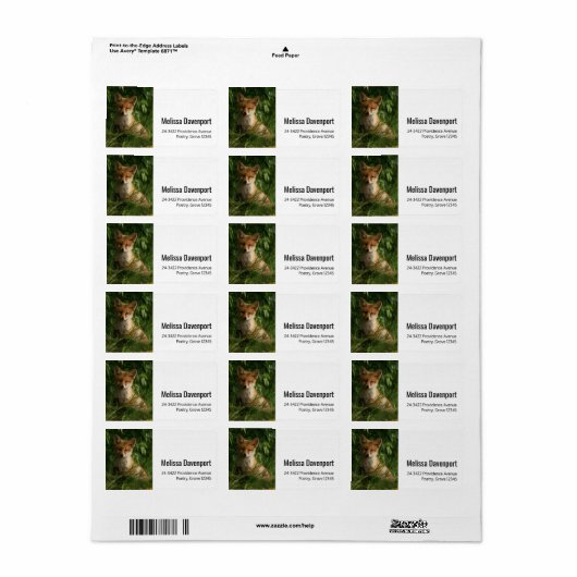 Schattigee Baby Fox in een Green Forest Adres Etiket (Full Sheet)