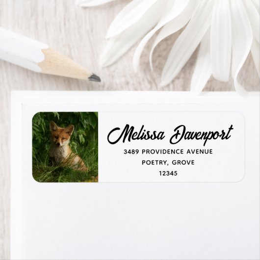 Schattigee Baby Fox in een Green Forest Adres Etiket (Insitu)