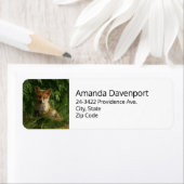 Schattigee Baby Fox in een Green Forest Adres Etiket (Insitu)