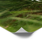 Schattigee Baby Fox in een Green Forest Business Poster (Hoek)