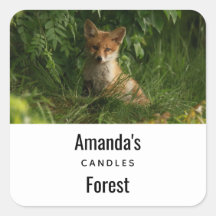 Schattigee Baby Fox in een Green Forest Candle Bus