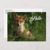 Schattigee Baby Fox in een groen bos Briefkaart (Voorkant / Achterkant)