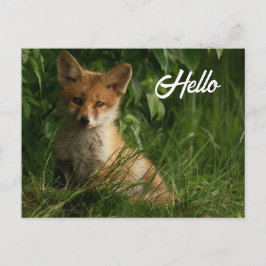 Schattigee Baby Fox in een groen bos Briefkaart