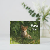 Schattigee Baby Fox in een groen bos Dank u Briefkaart (Staand voorkant)