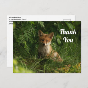 Schattigee Baby Fox in een groen bos Dank u Briefkaart
