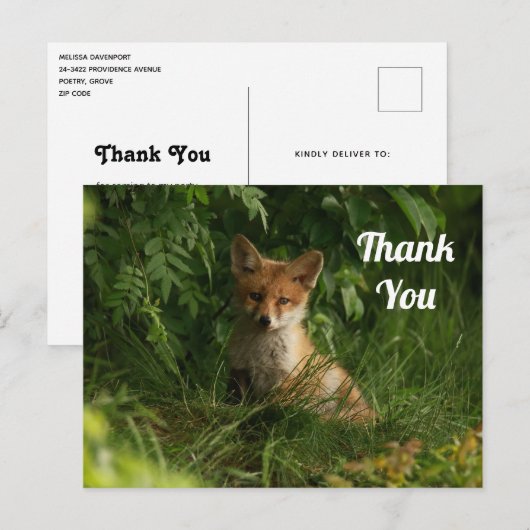 Schattigee Baby Fox in een groen bos Dank u Briefkaart (Voorkant / Achterkant)