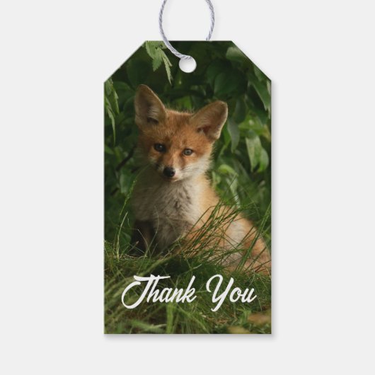 Schattigee Baby Fox in een groen bos Dank u Cadeaulabel (Voorkant)