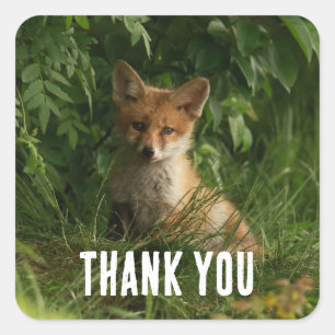 Schattigee Baby Fox in een groen bos Dank u Vierkante Sticker
