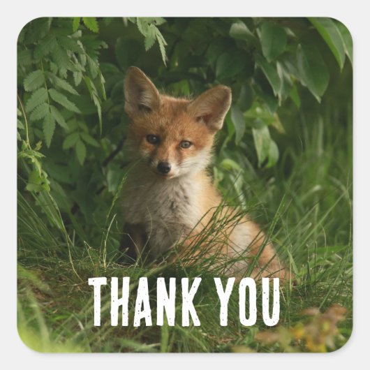 Schattigee Baby Fox in een groen bos Dank u Vierkante Sticker (Voorkant)